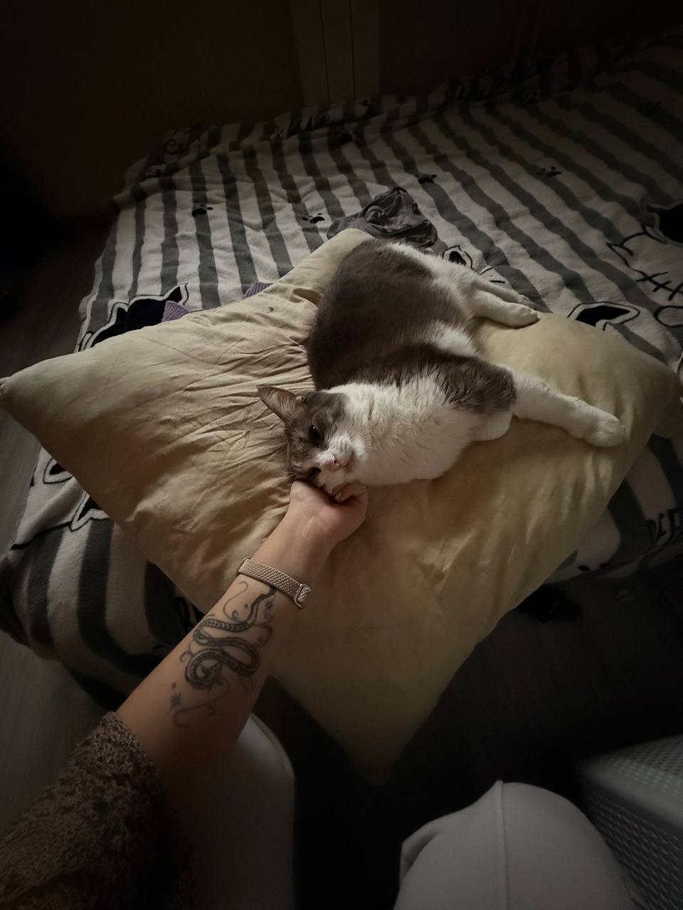 День 3 💕
Марафон @maristretching

1253 калл за день
пилатес утром, там была такая тяжелая кардио для моих легких 😅
после тренировки был сухой и обычный массаж пресс и эсс
сделала ноготочки, моей клиен... | Сетка — социальная сеть от hh.ru