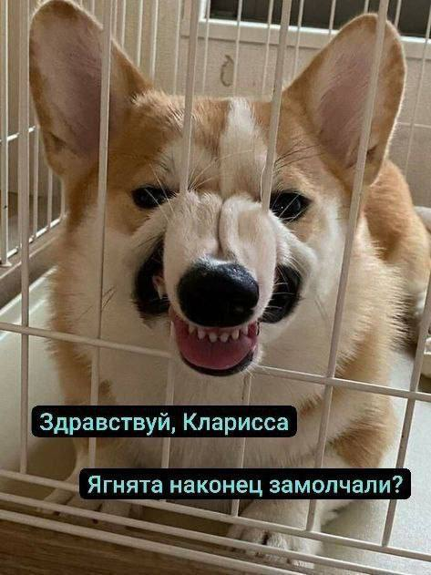Глядя на общие настроения | Сетка — социальная сеть от hh.ru