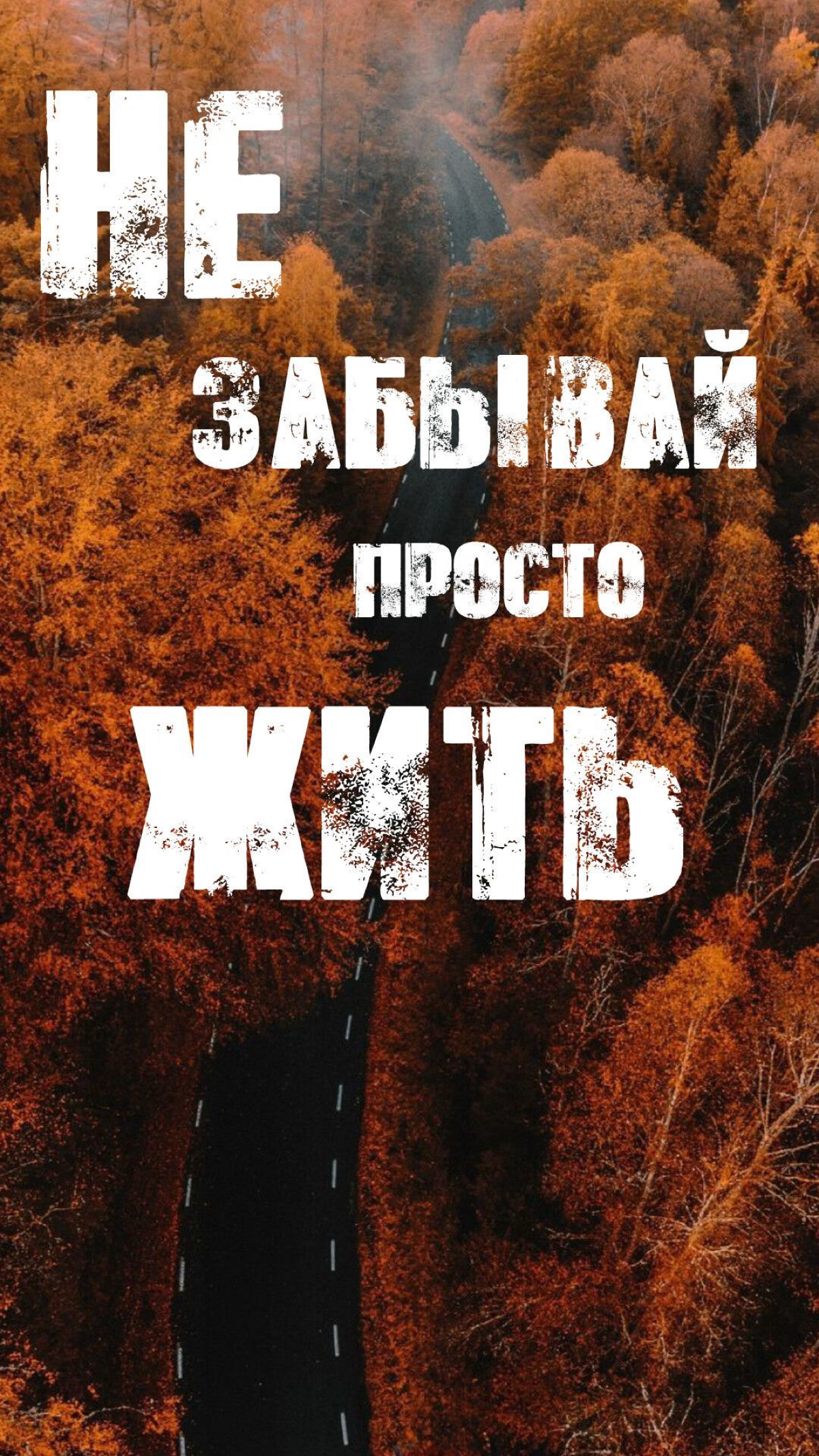 🔝 застава | Сетка — социальная сеть от hh.ru