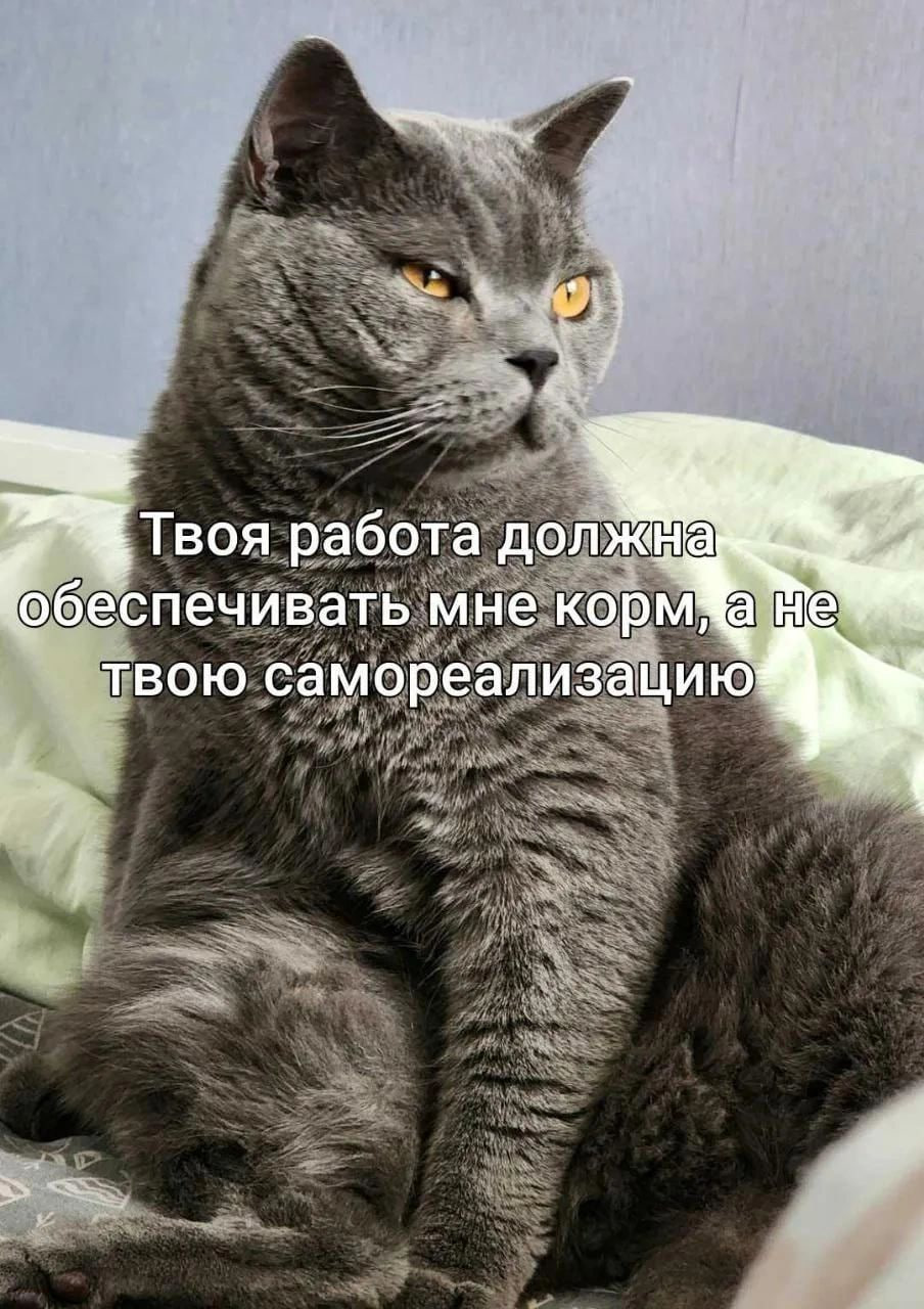 #life #work | Сетка — социальная сеть от hh.ru
