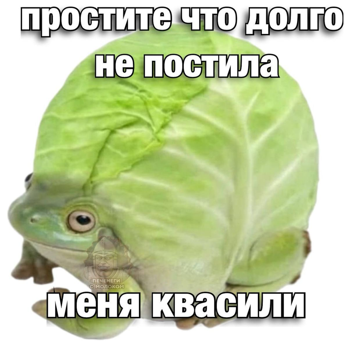 Бу! Испугался? 🙀 | Сетка — социальная сеть от hh.ru