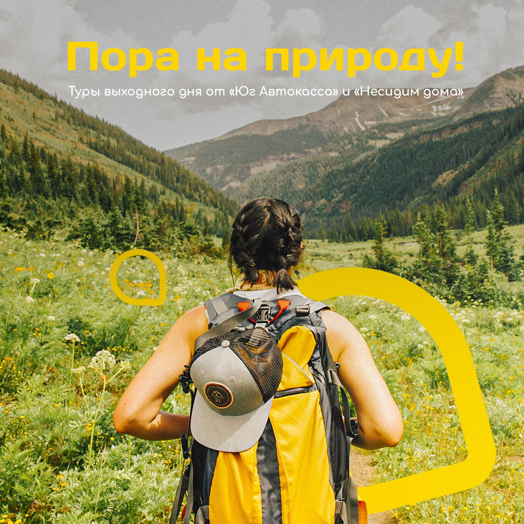 Разработка логотипа и фирменного стиля для Краснодарской компании междугородних автобусов 🔥 | Сетка — социальная сеть от hh.ru