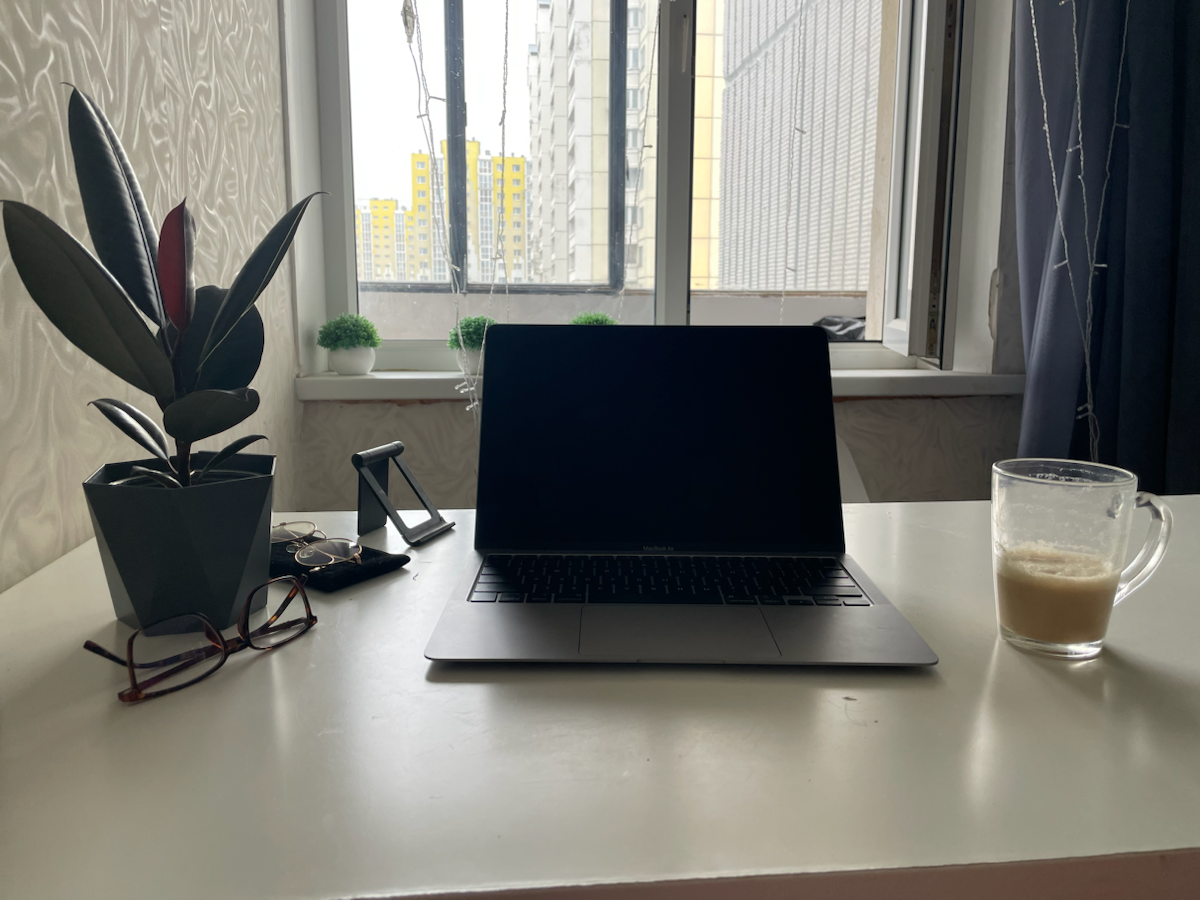 Теперь рабочее место украшает фикус Филипп. Мое первое растение 🌱 | Сетка — социальная сеть от hh.ru
