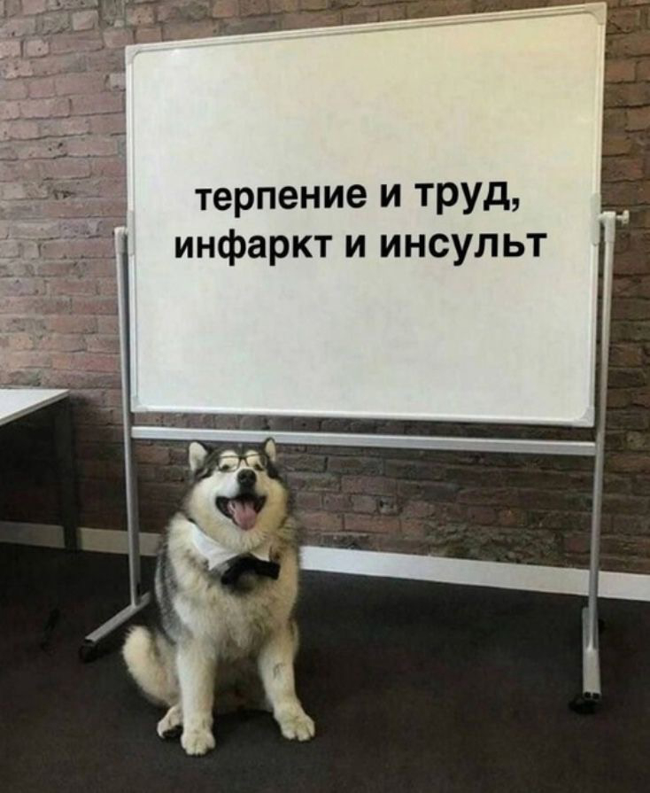 😱Тревожники — лучшие сотрудники. И вот почему | Сетка — социальная сеть от hh.ru