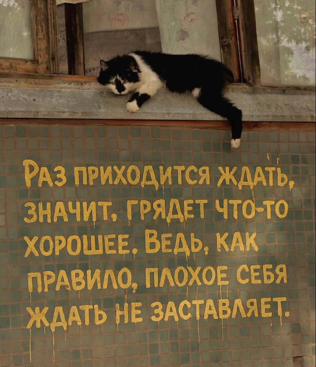 День 37
🔤 занималась французским
🔤 каталась на трамвае | Сетка — социальная сеть от hh.ru