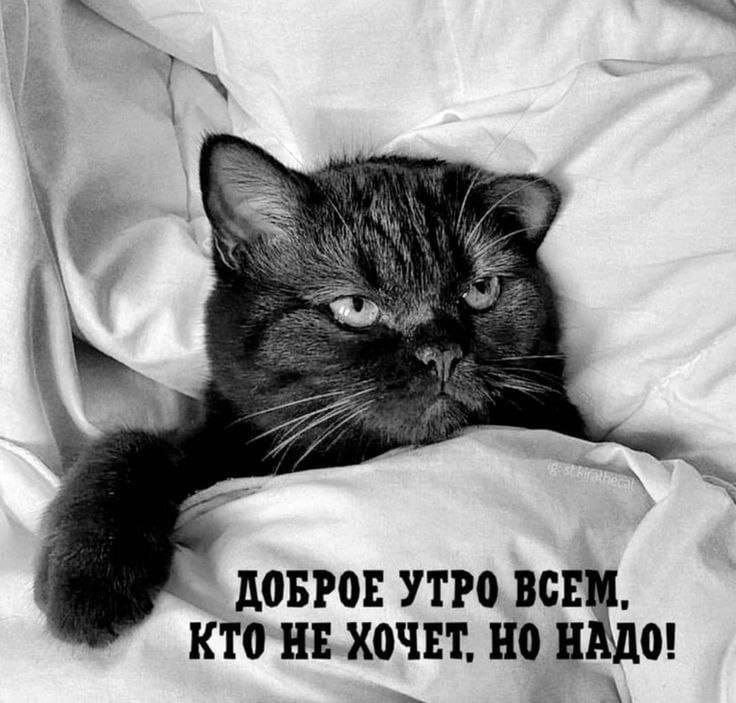 Жизнь в кайф | Сетка — социальная сеть от hh.ru