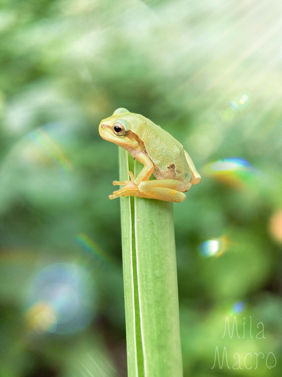 It’s Wednesday, my dudes) | Сетка — социальная сеть от hh.ru