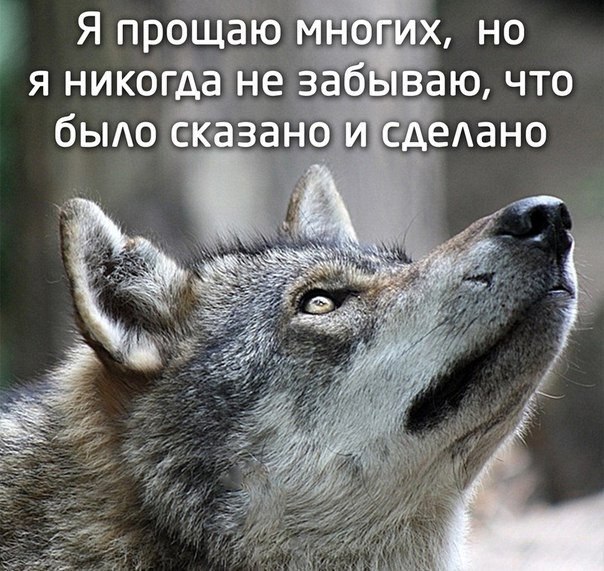 @statusday #ЦитатыСтатус | Сетка — социальная сеть от hh.ru