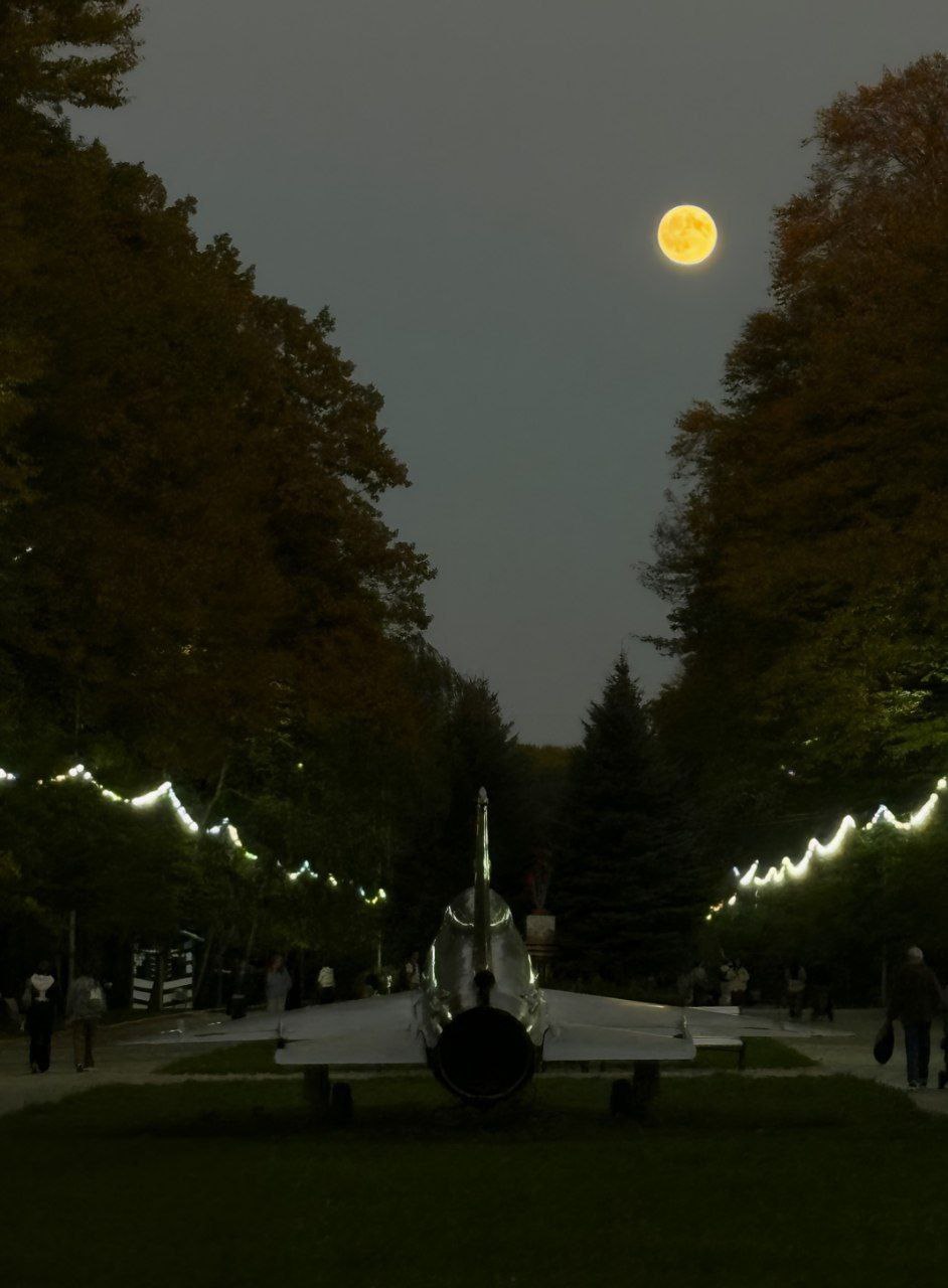 🌝Суперлуние над Ставрополем
В парке Победы фотографу удалось поймать удачный ракурс, чтобы запечатлеть астрономическое явление.
📲 Что-то на Ставропольском в MAX | Сетка — социальная сеть от hh.ru