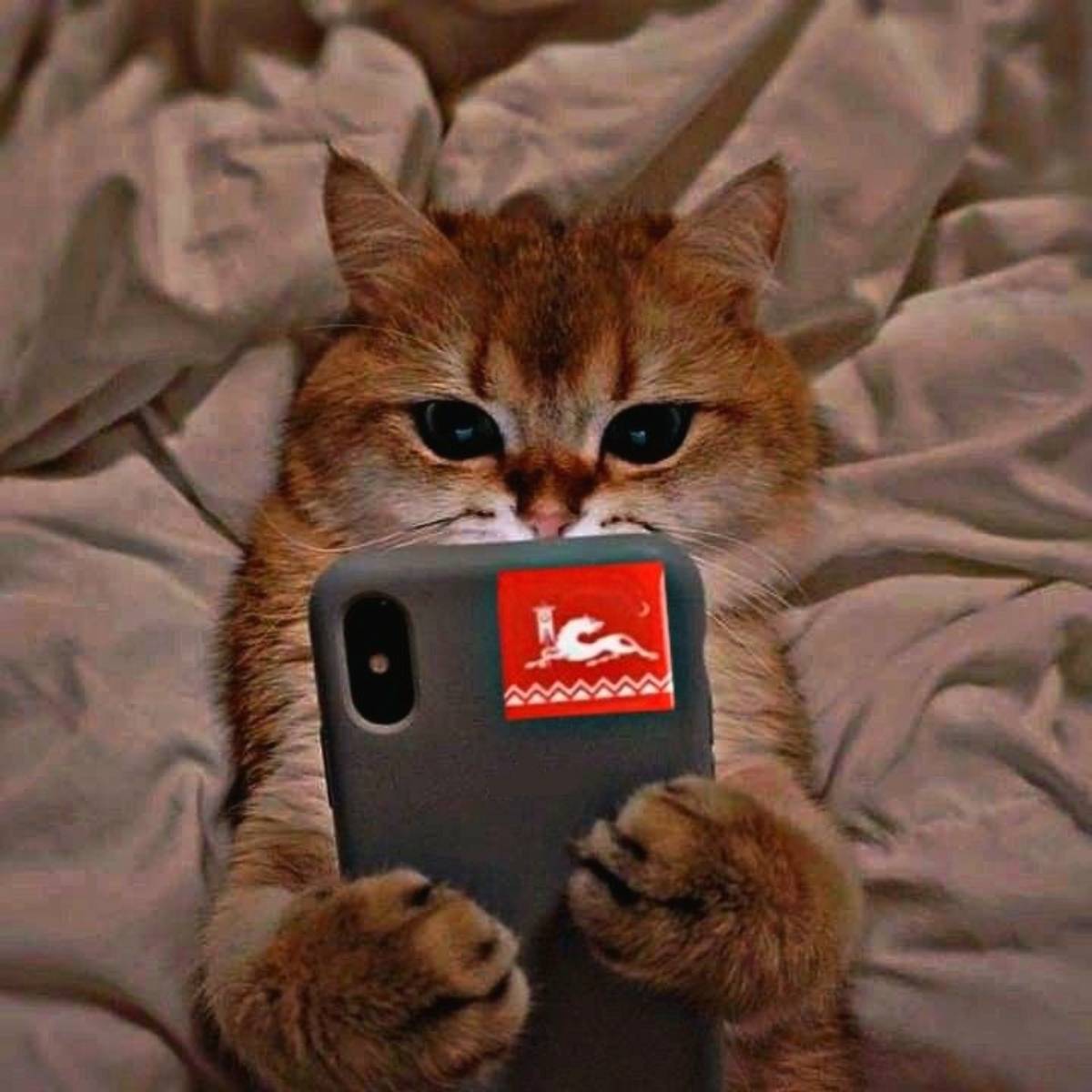 Магомед Гусейнов