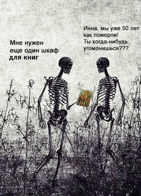 Исповедь книголюбки | Сетка — социальная сеть от hh.ru