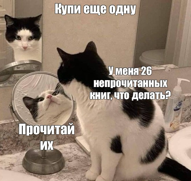 Исповедь книголюбки | Сетка — социальная сеть от hh.ru