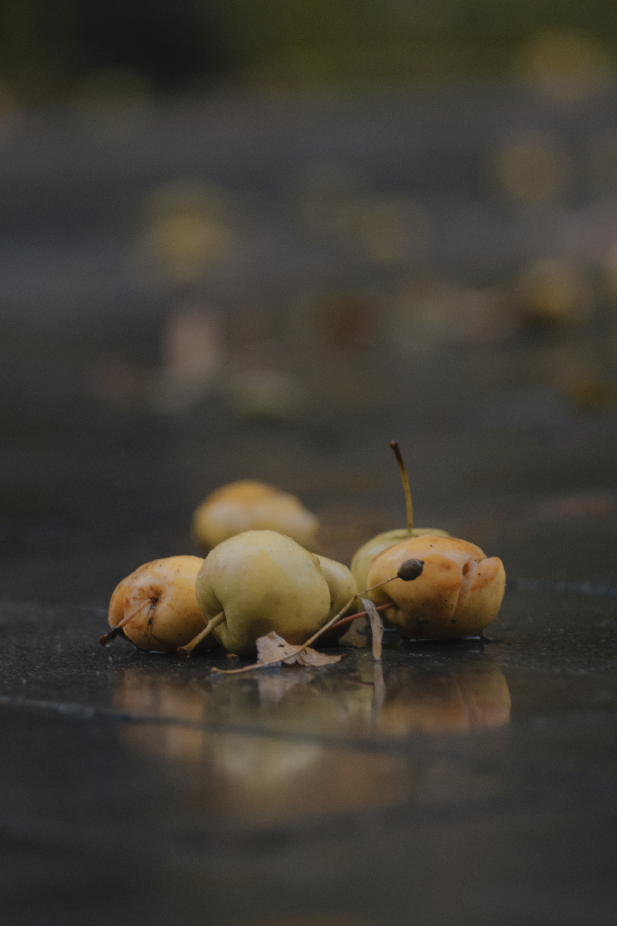 Моменты | Сетка — социальная сеть от hh.ru