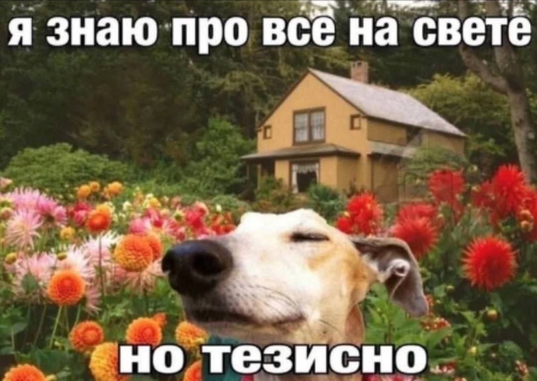 минусов не наблюдается | Сетка — социальная сеть от hh.ru