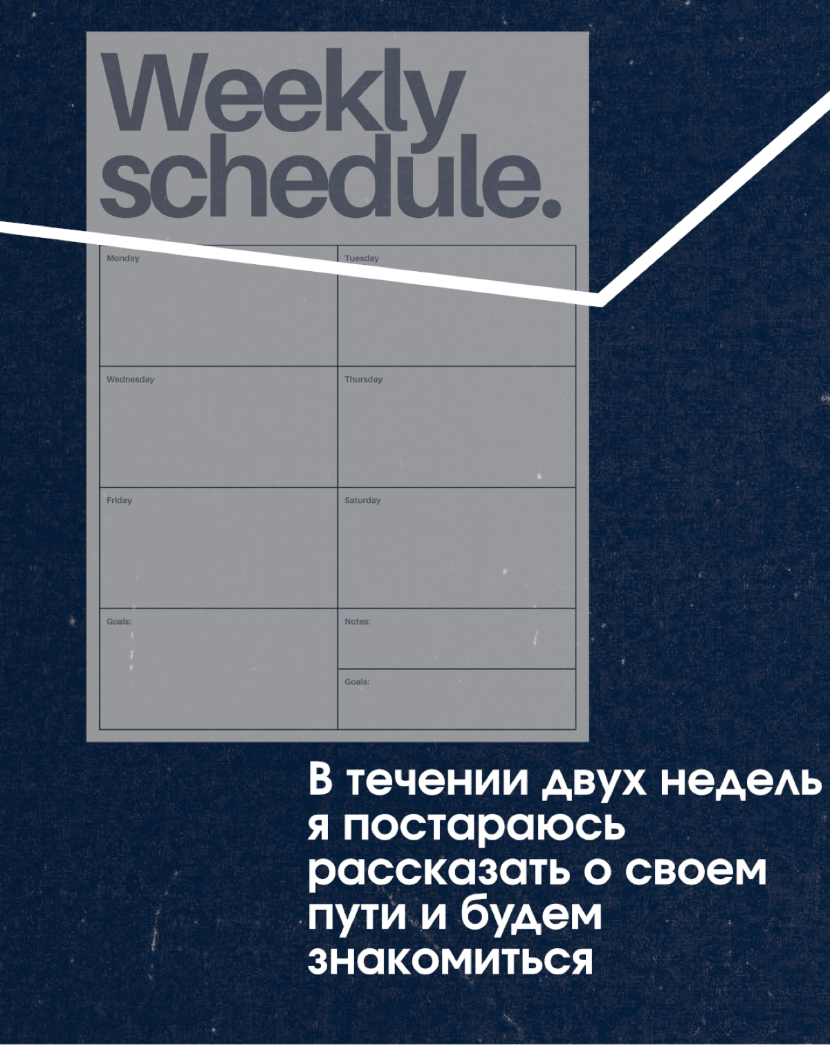 Начнем знакомиться | Сетка — социальная сеть от hh.ru
