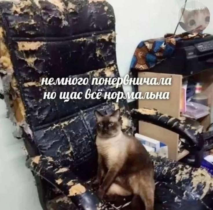 Кто же ты? | Сетка — социальная сеть от hh.ru