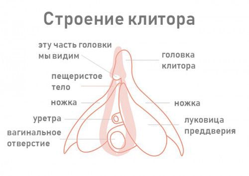Помните эту великолепную картинку? 😁
Ща че расскажу👇 | Сетка — социальная сеть от hh.ru