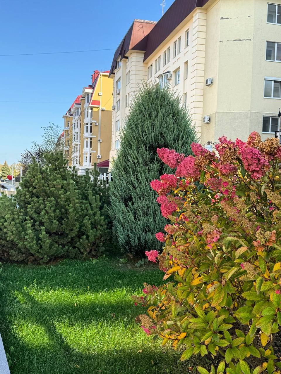 Октябрь в Ставрополе 🍁
🎨Когда каждый куст и дерево - как красочное произведение искусства.
📲 Что-то на Ставропольском в MAX | Сетка — социальная сеть от hh.ru
