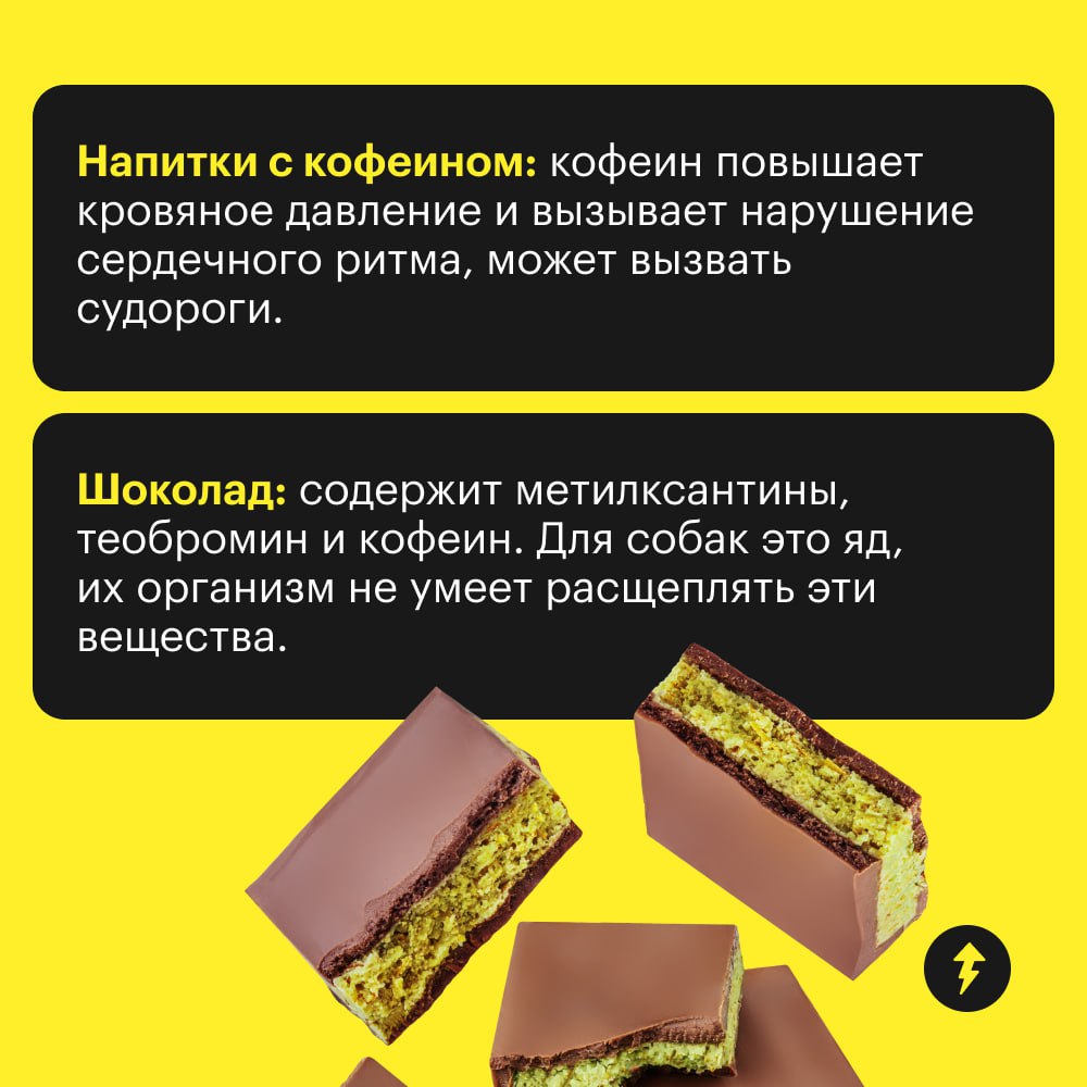 Как бы хвостики этого ни хотели, им не все можно с нашего стола.
🟣 Собрали 10 продуктов, которые могут сильно навредить здоровью собаки | Сетка — социальная сеть от hh.ru