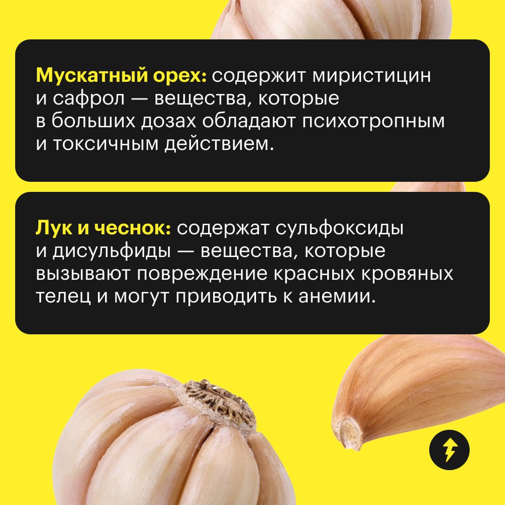 Как бы хвостики этого ни хотели, им не все можно с нашего стола.
🟣 Собрали 10 продуктов, которые могут сильно навредить здоровью собаки | Сетка — социальная сеть от hh.ru