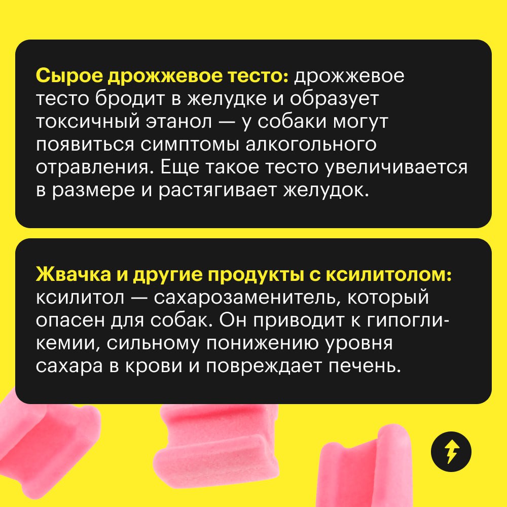 Как бы хвостики этого ни хотели, им не все можно с нашего стола.
🟣 Собрали 10 продуктов, которые могут сильно навредить здоровью собаки | Сетка — социальная сеть от hh.ru