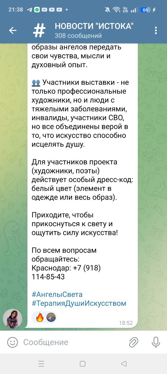 В Краснодаре необычная выставка, вход свободный!!! | Сетка — социальная сеть от hh.ru
