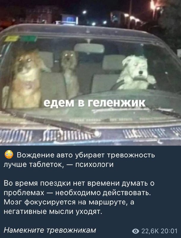 Такие новости мы заслуживаем!
На самом деле правда в этом есть. Концентрация организма и вашей психики происходит не на тучу мыслей в голове, а на процесс вождения | Сетка — социальная сеть от hh.ru