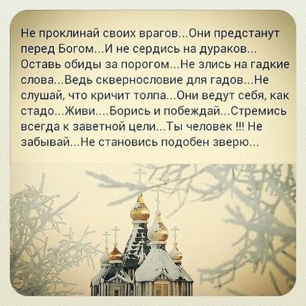 @statusday #ЦитатыСтатус | Сетка — социальная сеть от hh.ru