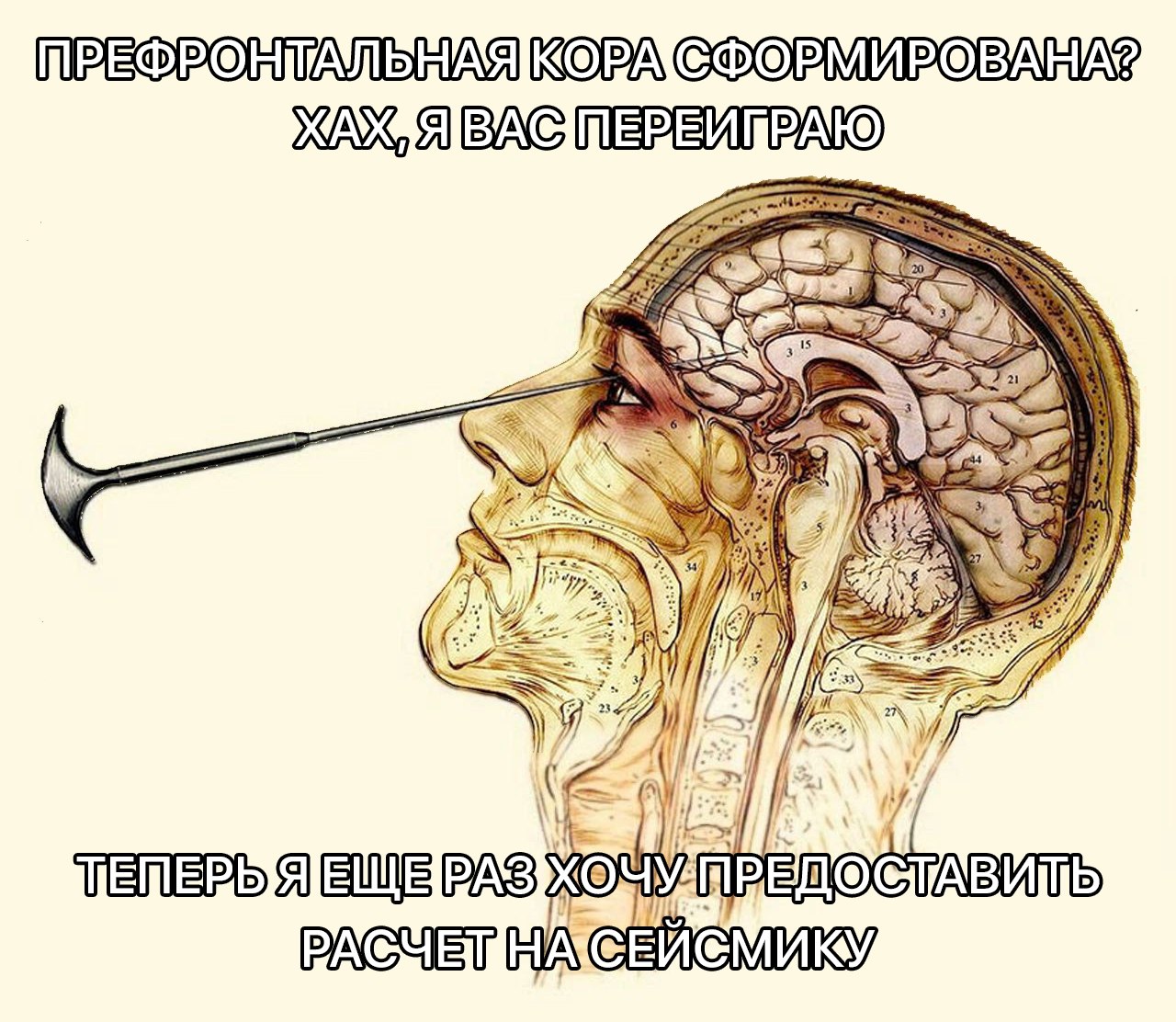 экспертиза: требует изменений
я: | Сетка — социальная сеть от hh.ru