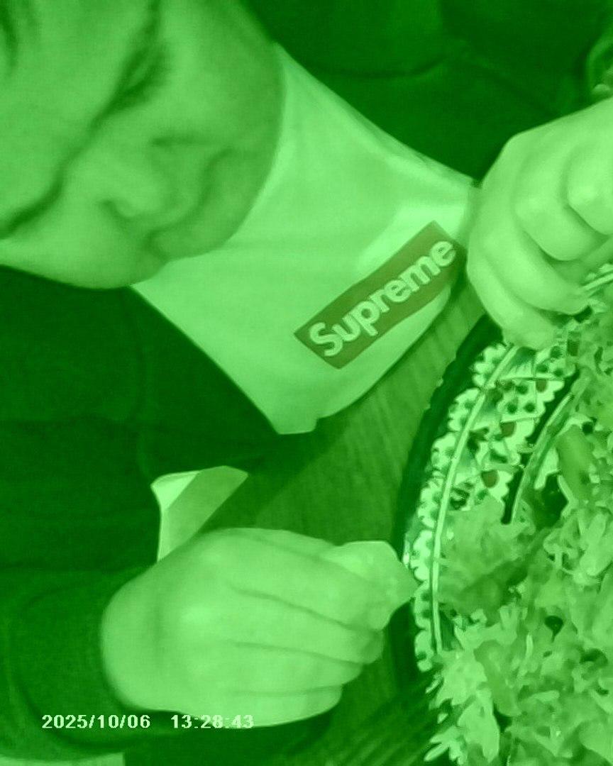 Хасбик стал рекламным лицом бренда Supreme.
Его фотографии появились в официальном аккаунте Instagram* бренда. Инфлюенсер анонсировал брелок-камеру, которая выйдет 9 октября | Сетка — социальная сеть от hh.ru