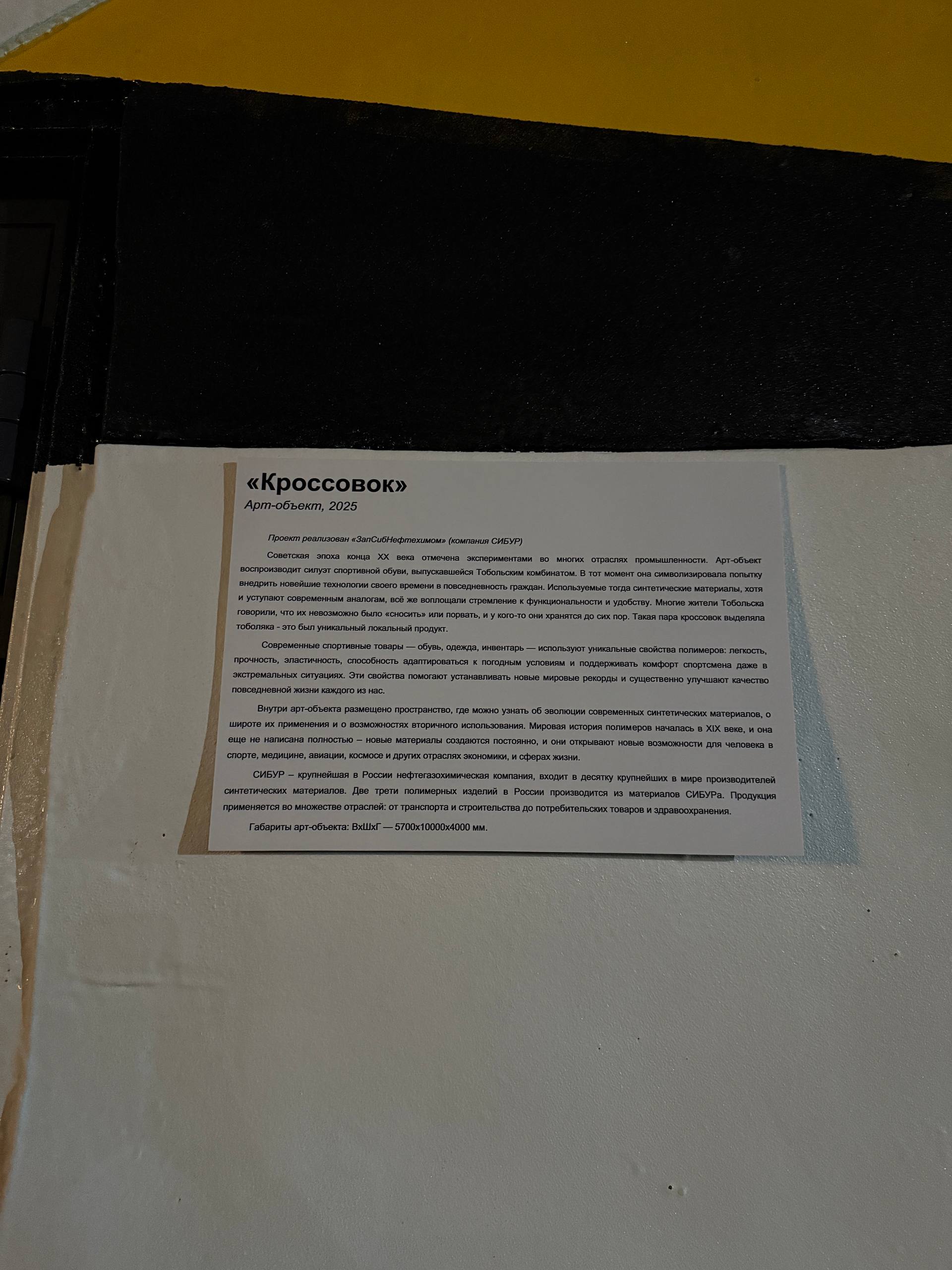 неожиданно увидеть в Тюмени инсталляцию!
Сибуру лайк, люблю такое 🥹🤍
внутрь даже можно зайти, но ночью канеш было все закрыто | Сетка — социальная сеть от hh.ru