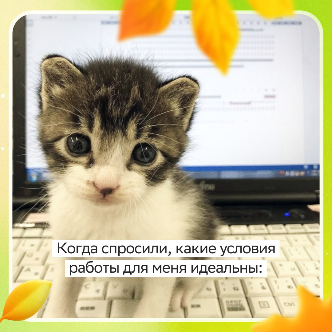 В Первой линии котиков, конечно, нет… Зато есть возможности для тех, кто с опытом и без, благодарные клиенты, бенефиты и классные коллеги!
✨У нас правда круто, откликайся:
• Менеджер выездного сервиса... | Сетка — социальная сеть от hh.ru