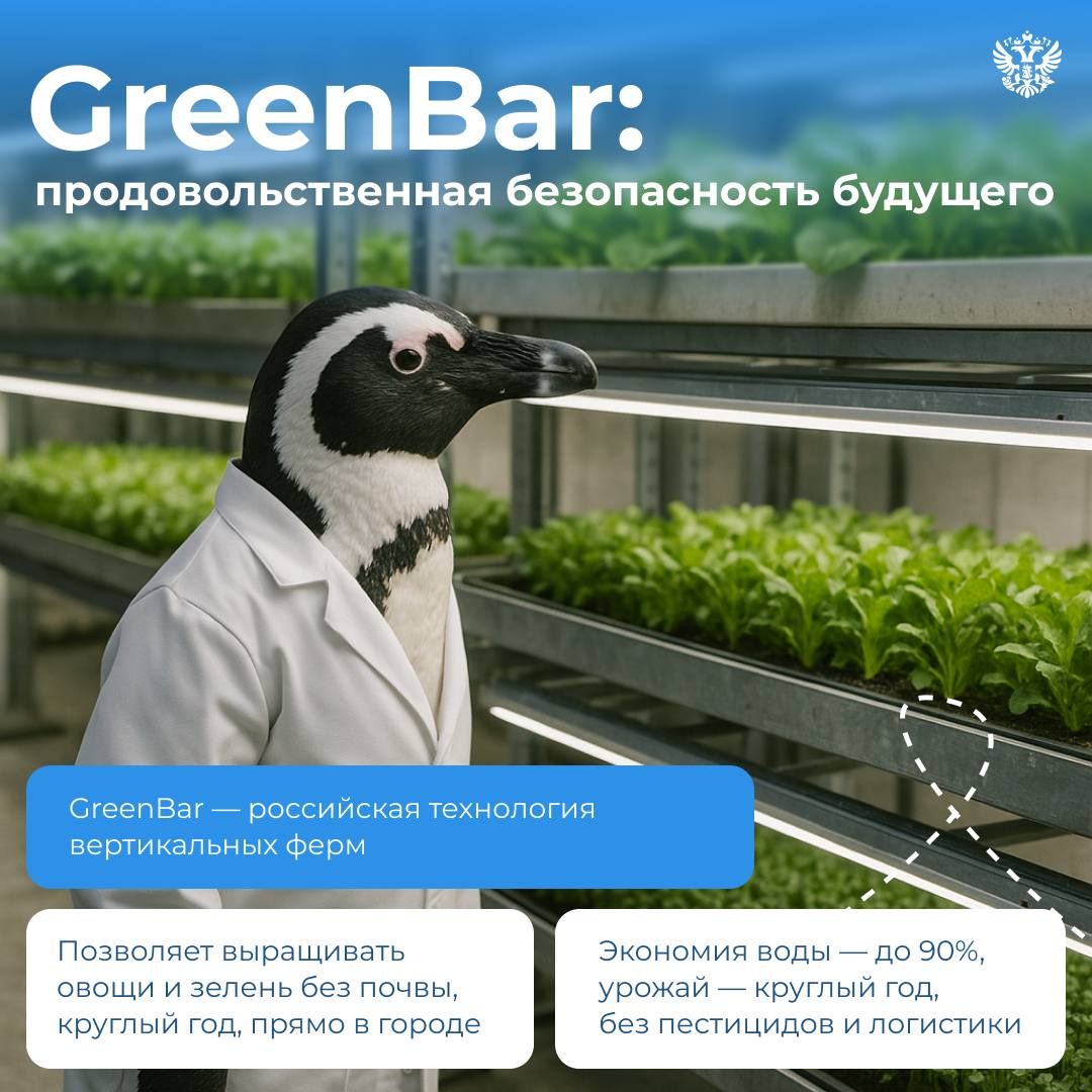 🇷🇺 Россия — среди лидеров цифровых инноваций мира
🐧На саммите G20 Digital Innovation Alliance в Кейптауне российские компании представили технологии, которые уже сегодня решают глобальные задачи — от ... | Сетка — социальная сеть от hh.ru