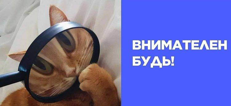 Как не нарушить закон о рекламе
С 1 марта 2025 года требования к рекламе стали строже, а штрафы ощутимо выше | Сетка — социальная сеть от hh.ru