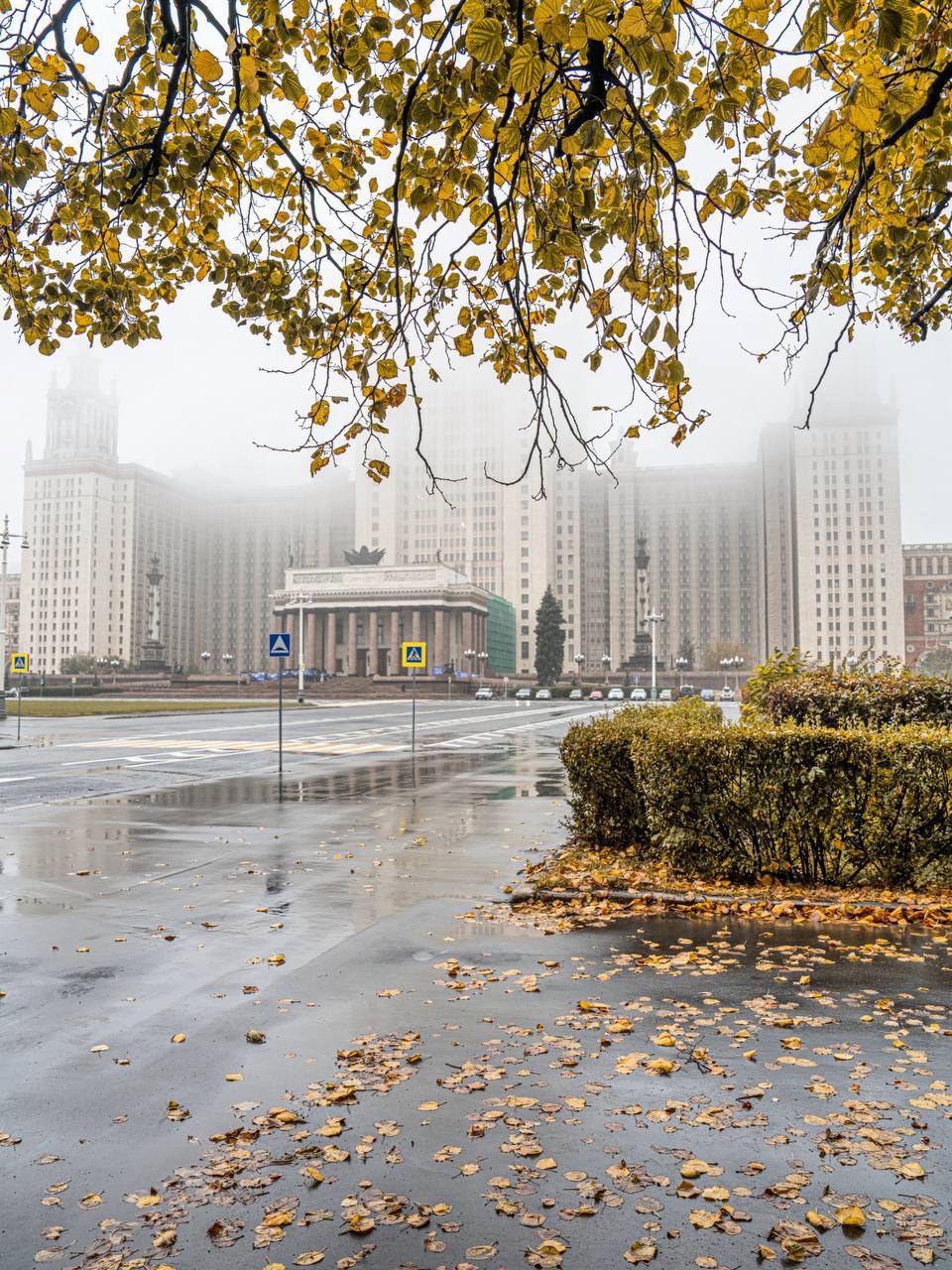 🍂Золотая осень украсила Воробьёвы горы
📲Подпишитесь на Вдвижении
#активныйотдых
В этом посте были ссылки, но мы их удалили по правилам Сетки | Сетка — социальная сеть от hh.ru