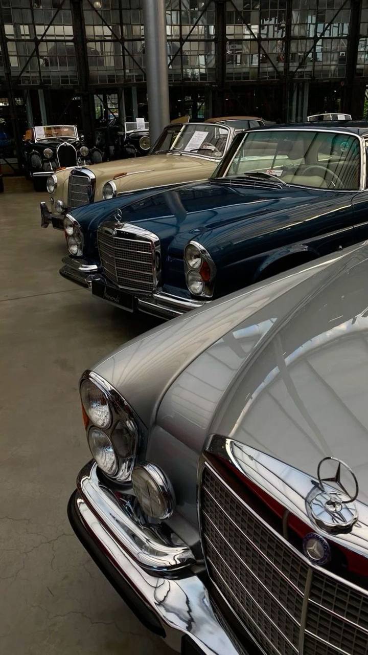 🚘Выставка Mercedes
11 октября с 14:00 до 17:00
На открытой площадке состоится финальная встреча владельцев Mercedes этого года.
▫️Вход свободный
📍Автомузей «Автомобили мира», ул. Самокатная, 4, стр | Сетка — социальная сеть от hh.ru