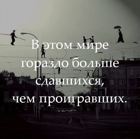 @statusday | Сетка — социальная сеть от hh.ru