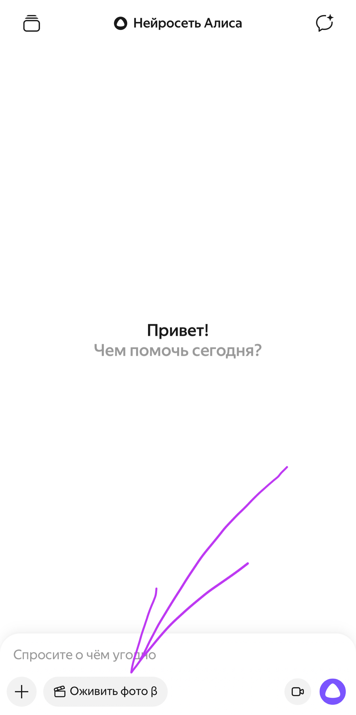 ChatGPT не работает? Не беда! | Сетка — социальная сеть от hh.ru
