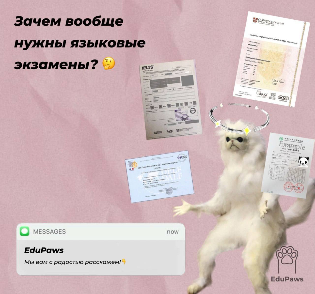 Зачем вообще нужны языковые экзамены? 🤔
Если ты учишь английский “для себя”, то экзамен может казаться чем-то лишним.
Но на самом деле Cambridge, IELTS и другие экзамены — это не просто бумажка | Сетка — социальная сеть от hh.ru