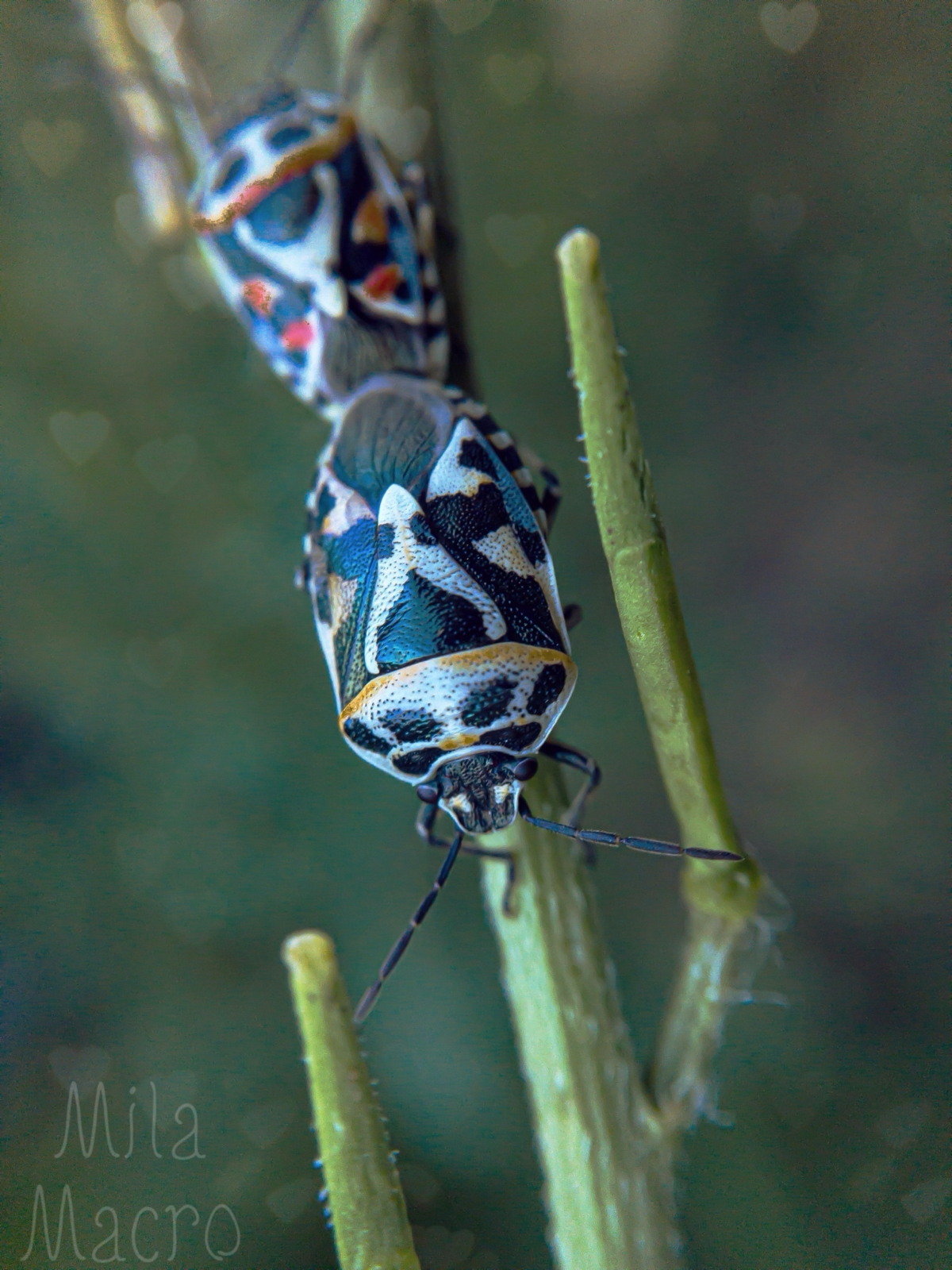 Романтичных выходных вам ❤️ | Сетка — социальная сеть от hh.ru