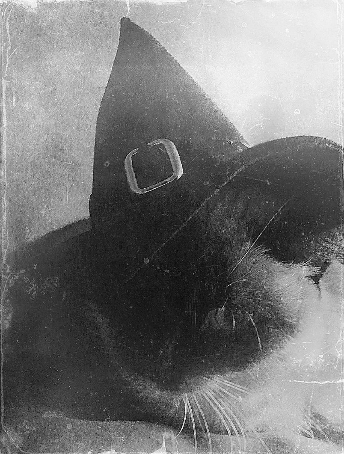 🎃 | Сетка — социальная сеть от hh.ru