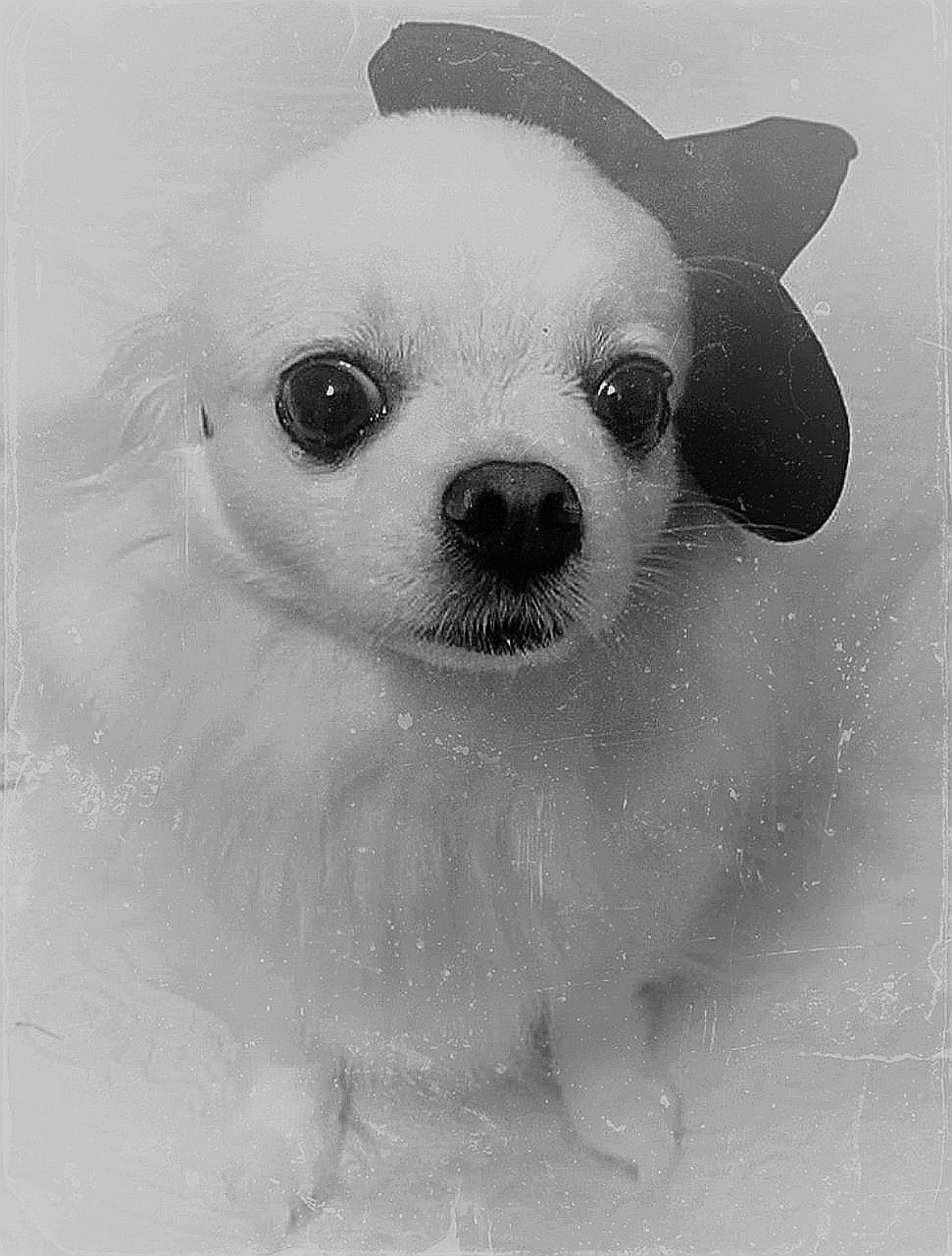 🎃 | Сетка — социальная сеть от hh.ru