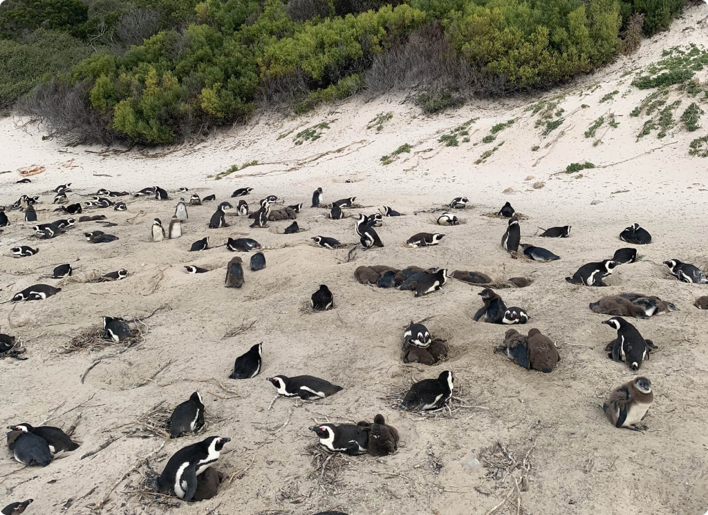 Сила нового времени… | Сетка — социальная сеть от hh.ru