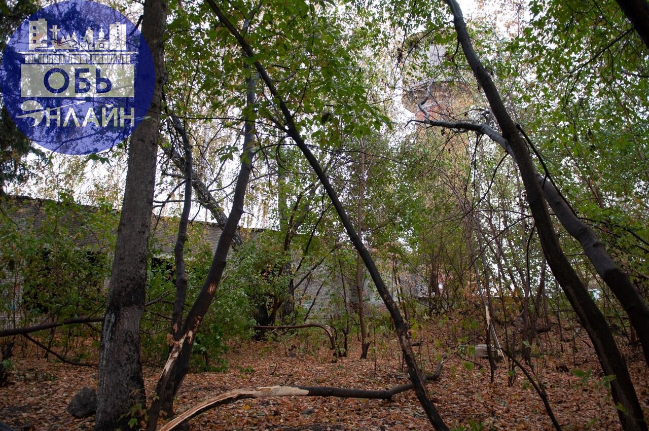↗ От жилых домов Военного городка в сторону сквера "Звездочка" ведет прекрасная асфальтированная пешеходно-велосипедная дорожка. Это новшество, и оно очень меня порадовало | Сетка — социальная сеть от hh.ru