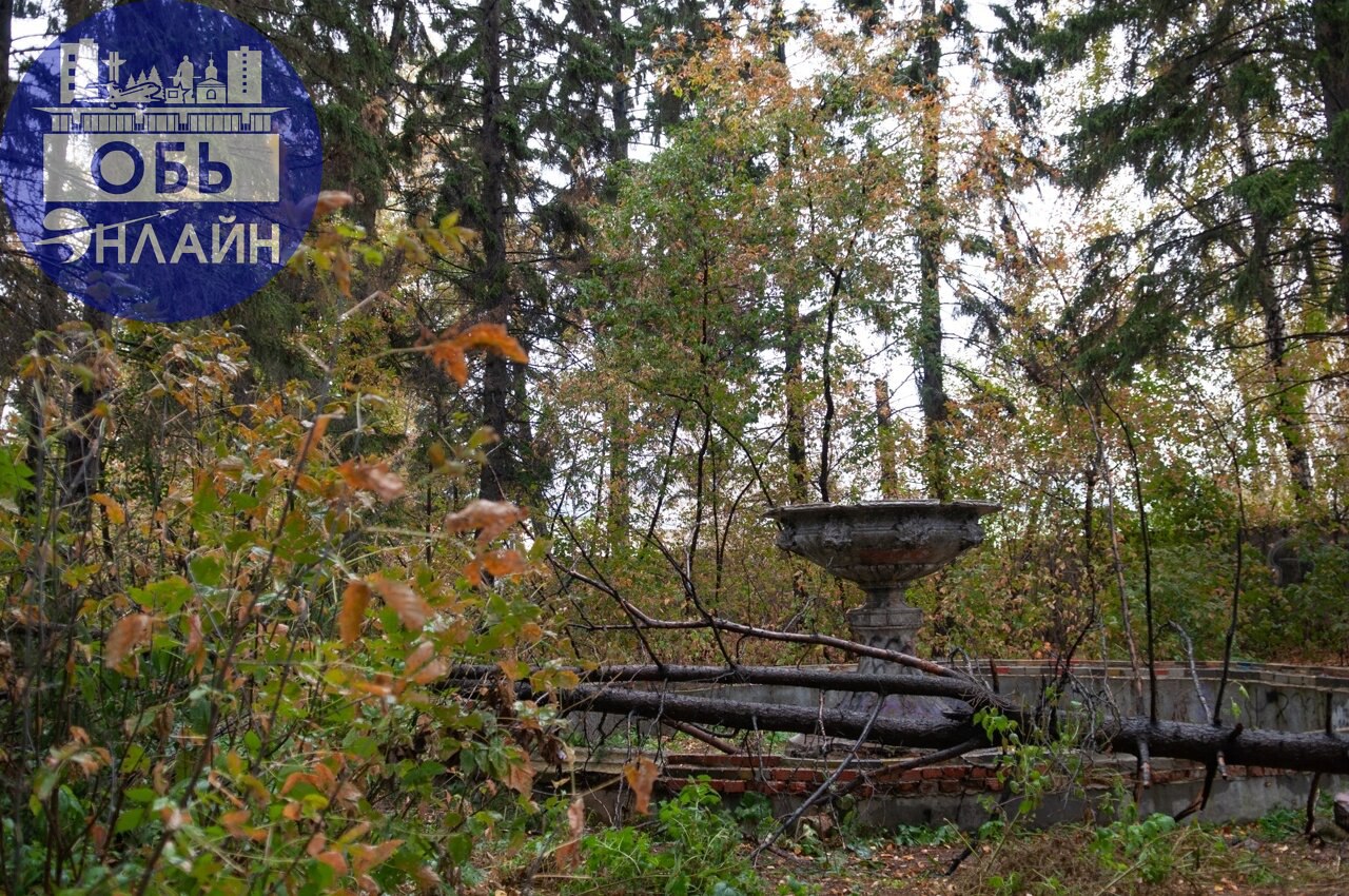 ↗ От жилых домов Военного городка в сторону сквера "Звездочка" ведет прекрасная асфальтированная пешеходно-велосипедная дорожка. Это новшество, и оно очень меня порадовало | Сетка — социальная сеть от hh.ru