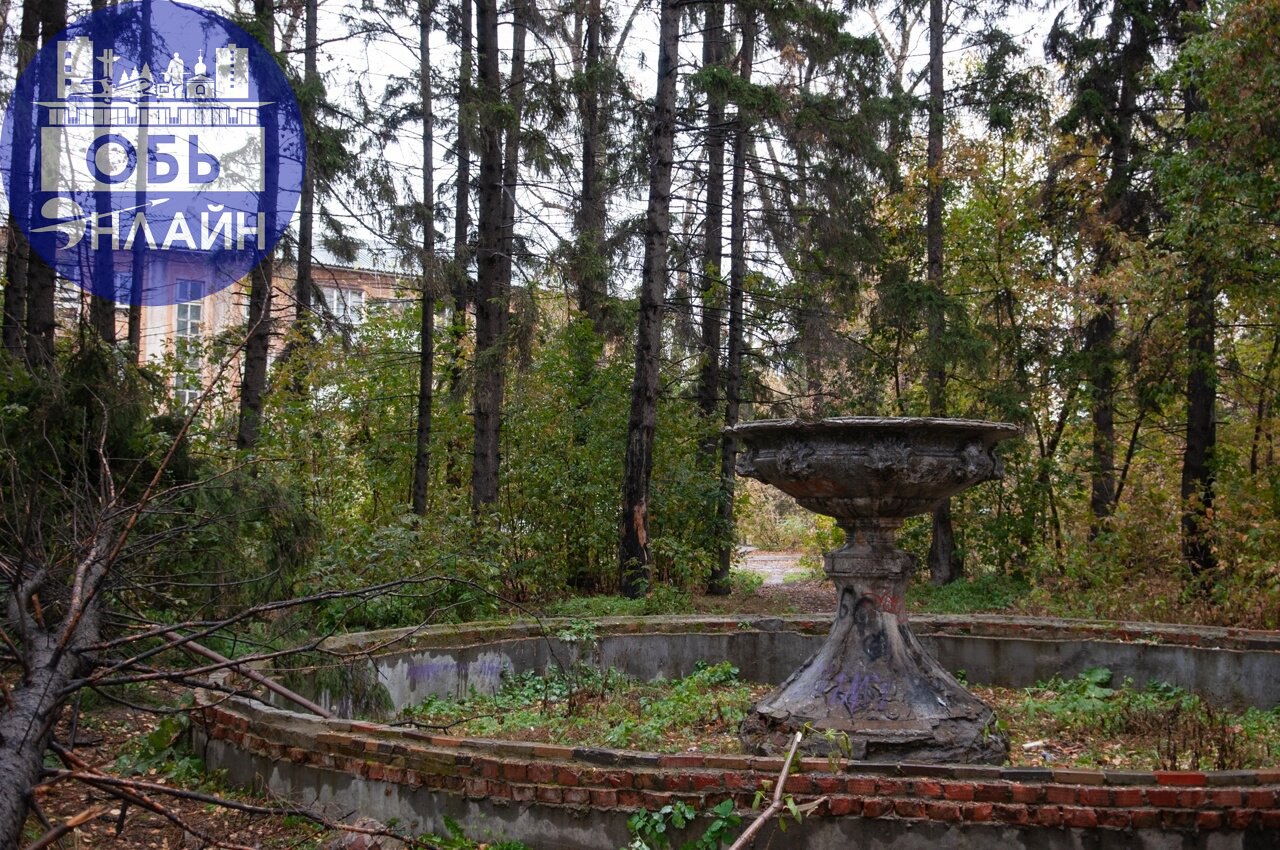 ↗ От жилых домов Военного городка в сторону сквера "Звездочка" ведет прекрасная асфальтированная пешеходно-велосипедная дорожка. Это новшество, и оно очень меня порадовало | Сетка — социальная сеть от hh.ru