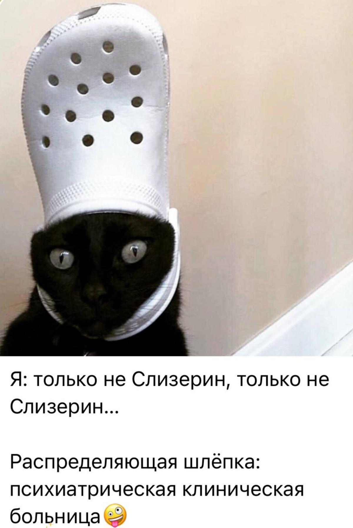 Доброе утро, лента, хорошего дня! | Сетка — социальная сеть от hh.ru