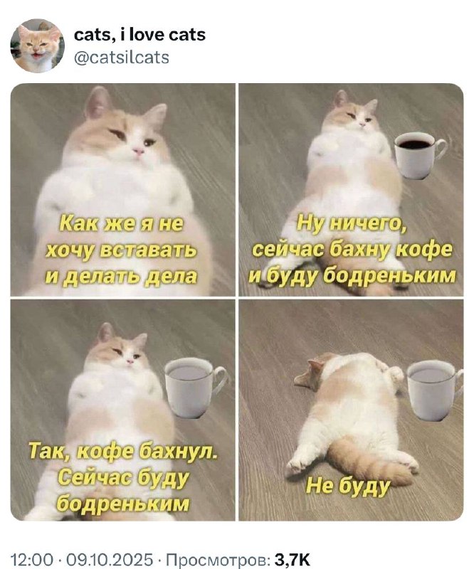 #morning | Сетка — социальная сеть от hh.ru