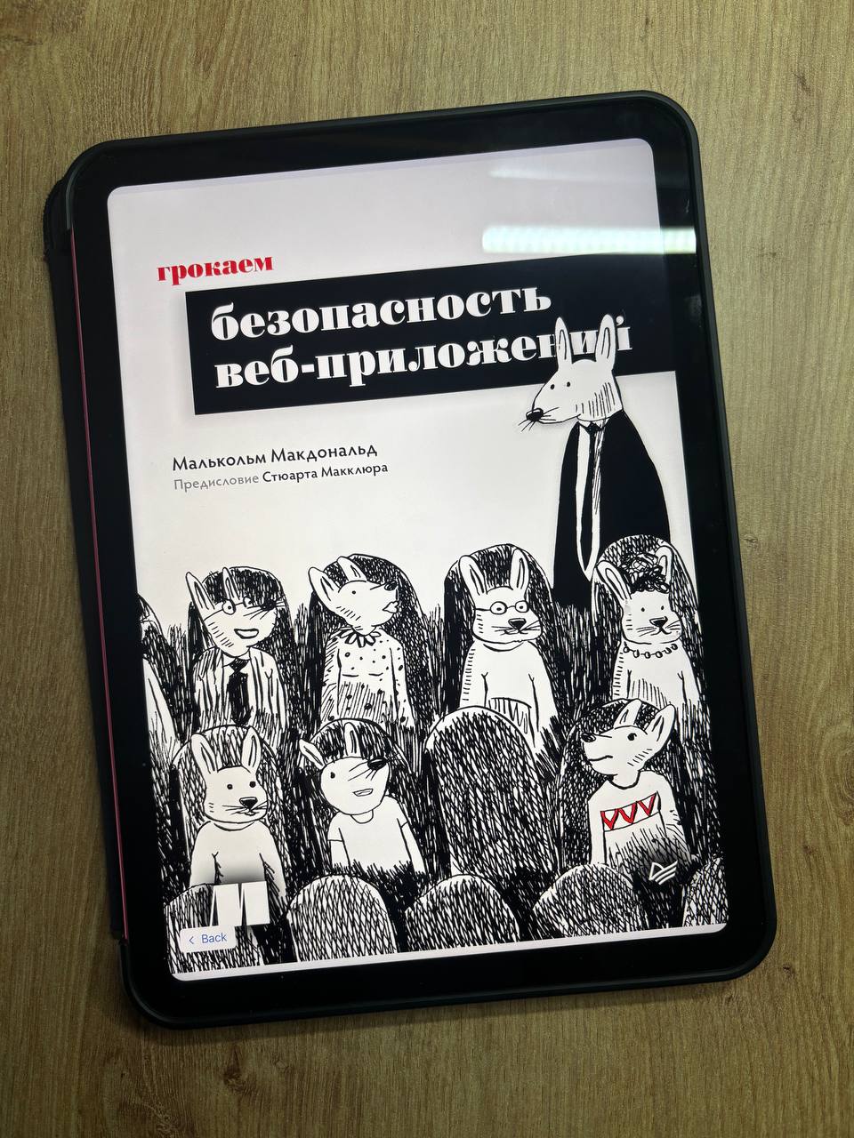 «Грокаем безопасность веб-приложений», Малкольм Макдональд
Как говорится в одной старой шутке, компании делятся на два типа: те, кто ещё не делает бэкапы, и те, кто уже делает | Сетка — социальная сеть от hh.ru