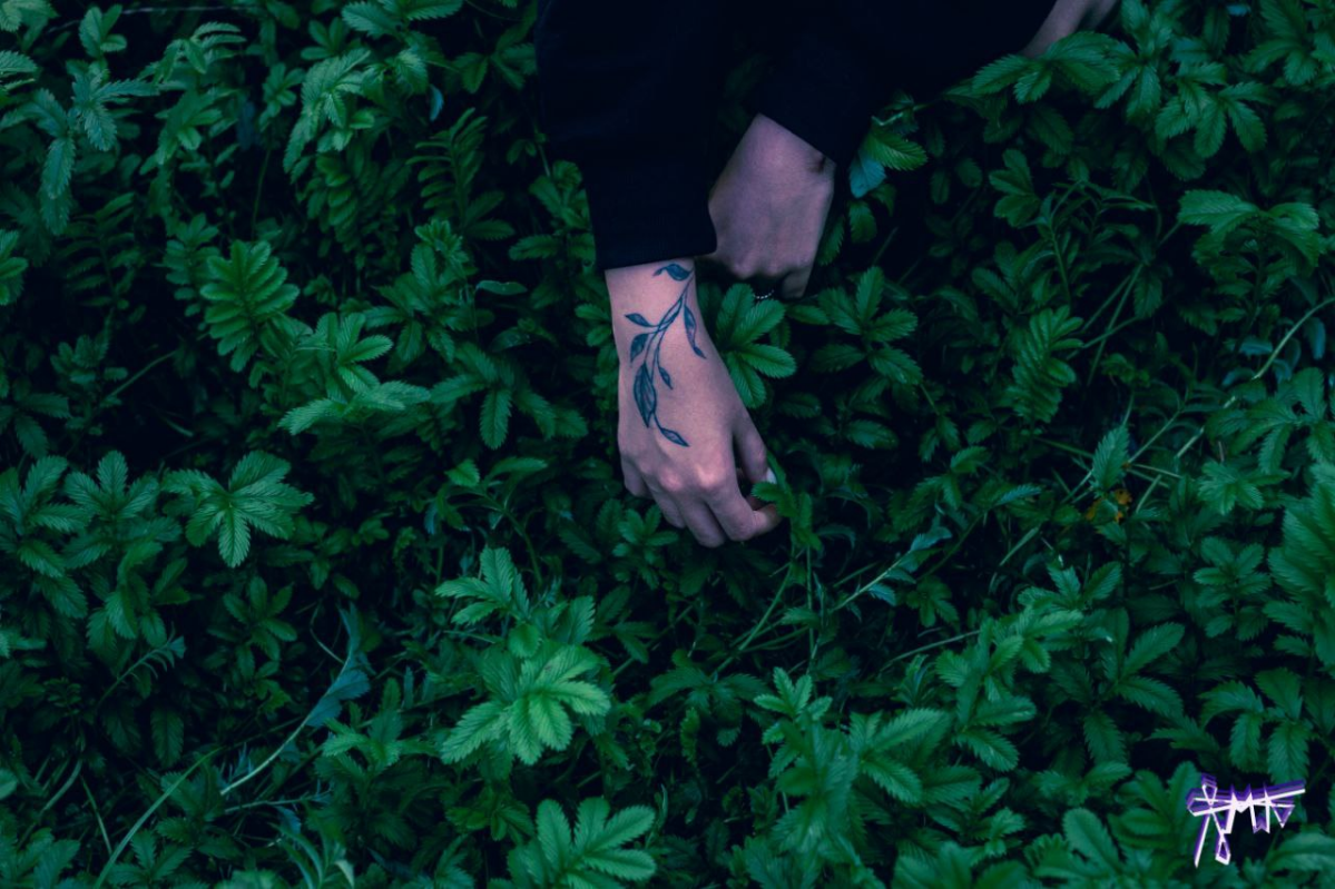 В лесной тишине слышно биение сердца... и щелчок затвора 🌲 | Сетка — социальная сеть от hh.ru